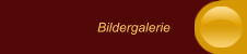 Bildergalerie